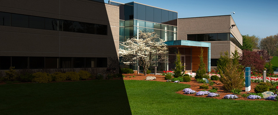 Denver Landscapers