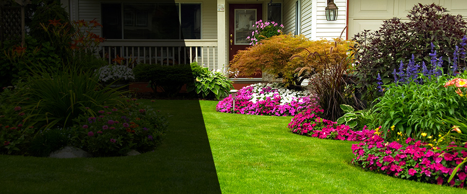 Denver Landscapers